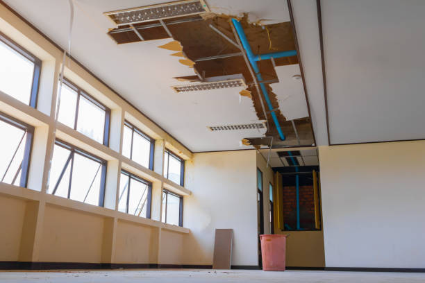 Best Water damage restoration near me  in Arlington, GA