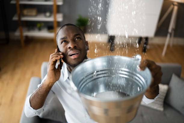 Best Sewage cleanup and water damage restoration  in Arlington, GA