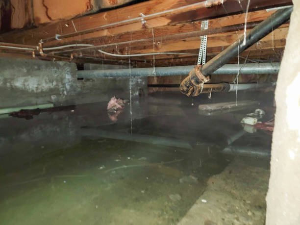 Best Water damage restoration process  in Arlington, GA