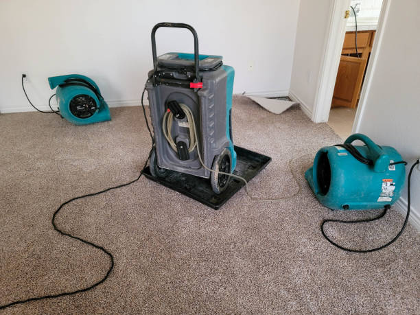 Best Flood restoration services  in Arlington, GA