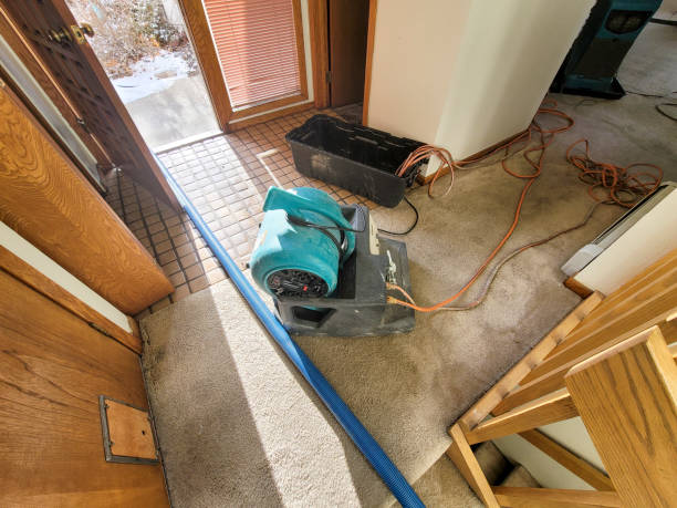 Reliable Arlington, GA Water damage restoration Solutions