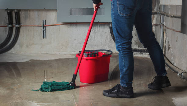 Best 24/7 water damage repair  in Arlington, GA