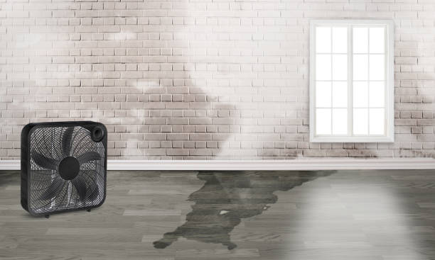  Arlington, GA Water damage restoration Pros