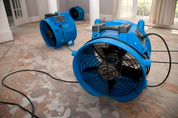 Best Basement water damage restoration  in Arlington, GA