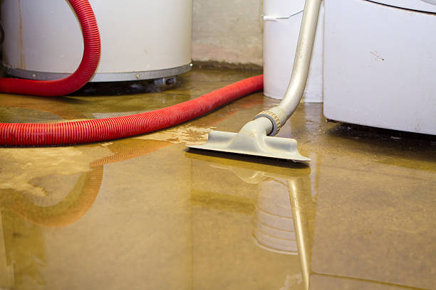 Water damage restoration process in Arlington, GA