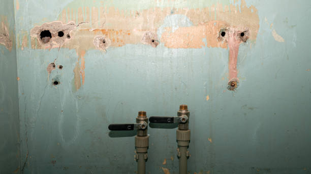 Best Water damage cleanup near me  in Arlington, GA