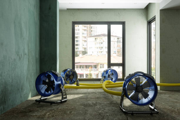 Best Flood restoration services  in Arlington, GA