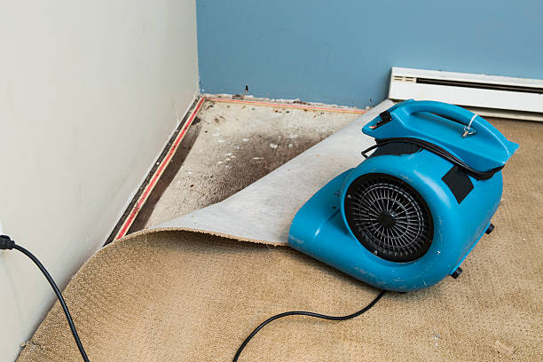 Water damage restoration mold remediation in Arlington, GA